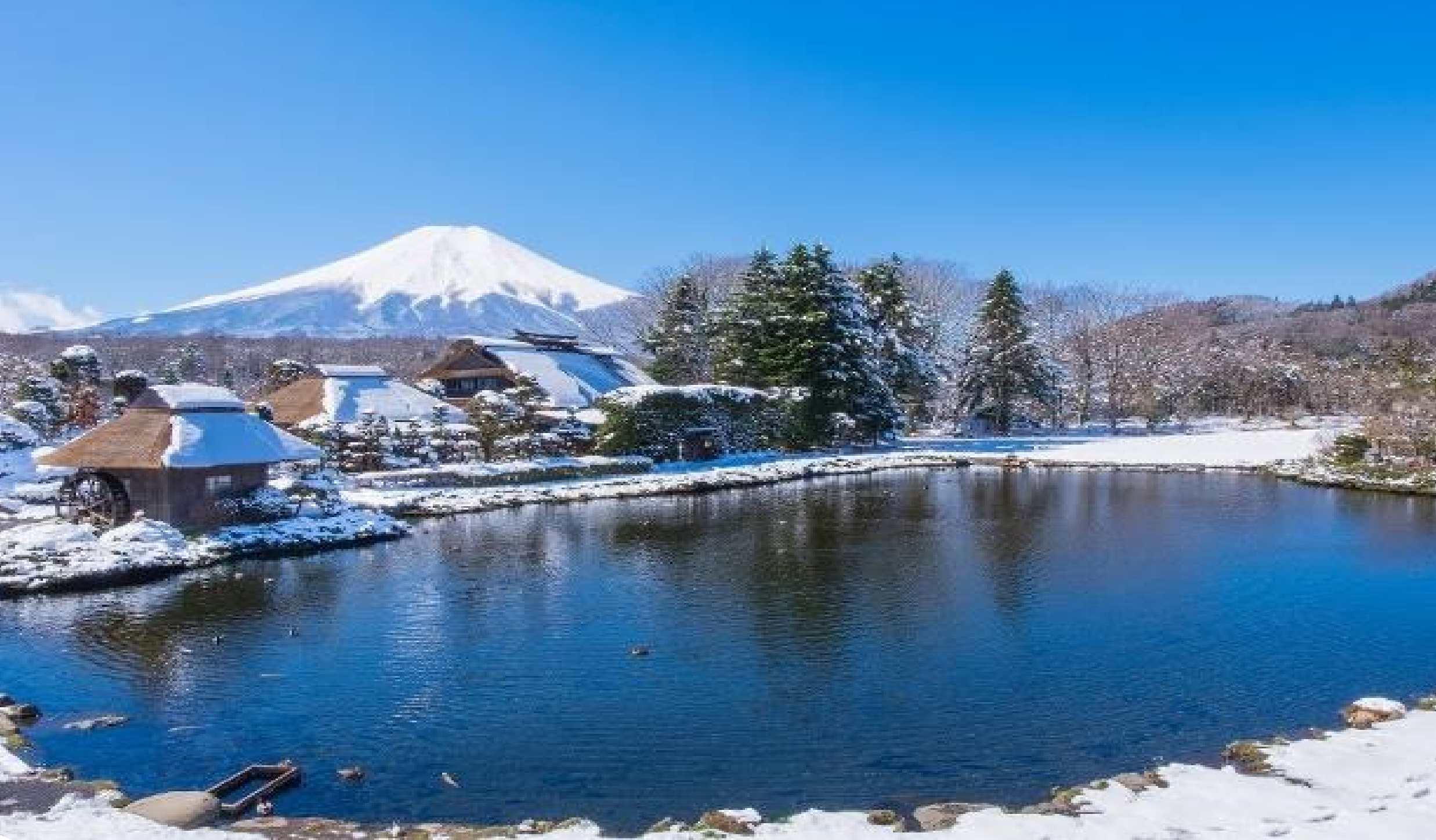 JAPAN โตเกียว นาริตะ ฟูจิ ลานสที เคาท์ดาวน์ปีใหม่ 2