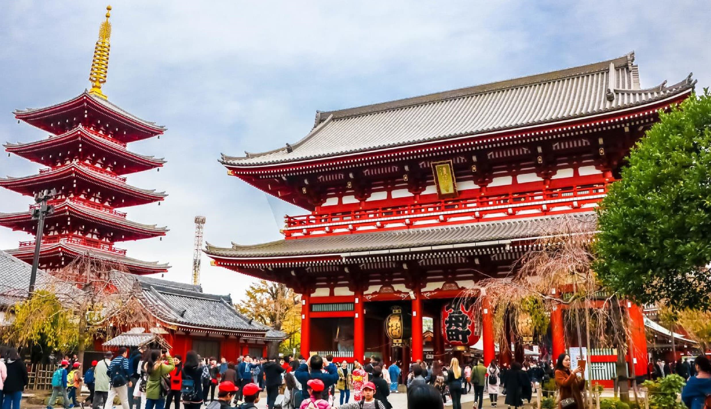 JAPAN โตเกียว นาริตะ ฟูจิ ลานสที เคาท์ดาวน์ปีใหม่ 1