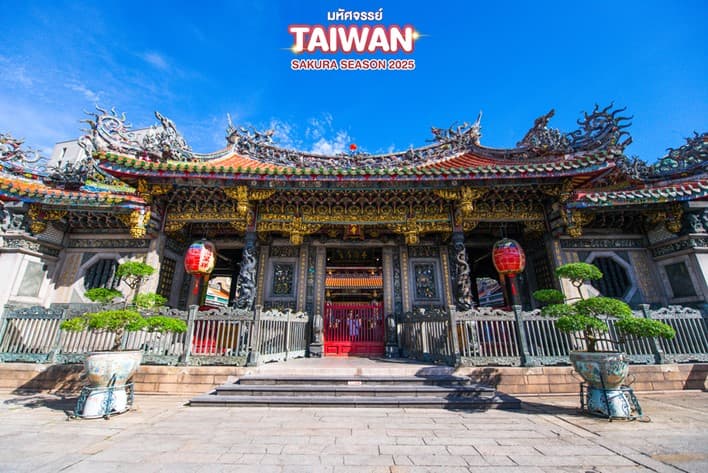 มหัศจรรย์ TAIWAN SAKURA SEASON 2025 5