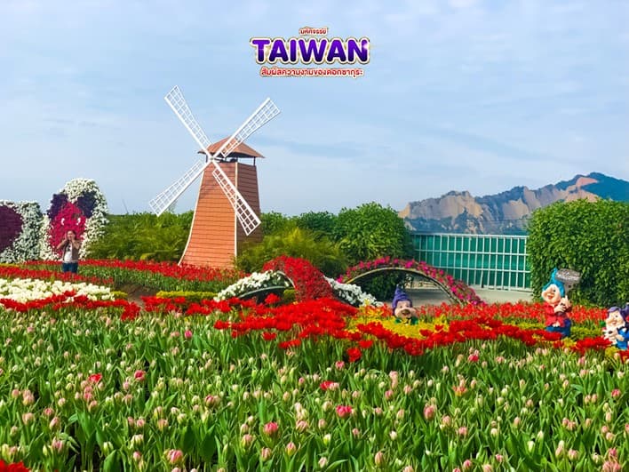 มหัศจรรย์ TAIWAN สัมผัสความงามของดอกซากุระ 1