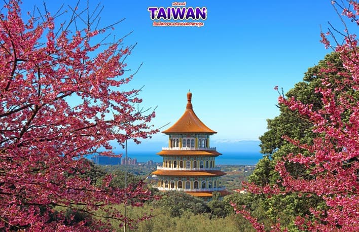 มหัศจรรย์ TAIWAN สัมผัสความงามของดอกซากุระ 6
