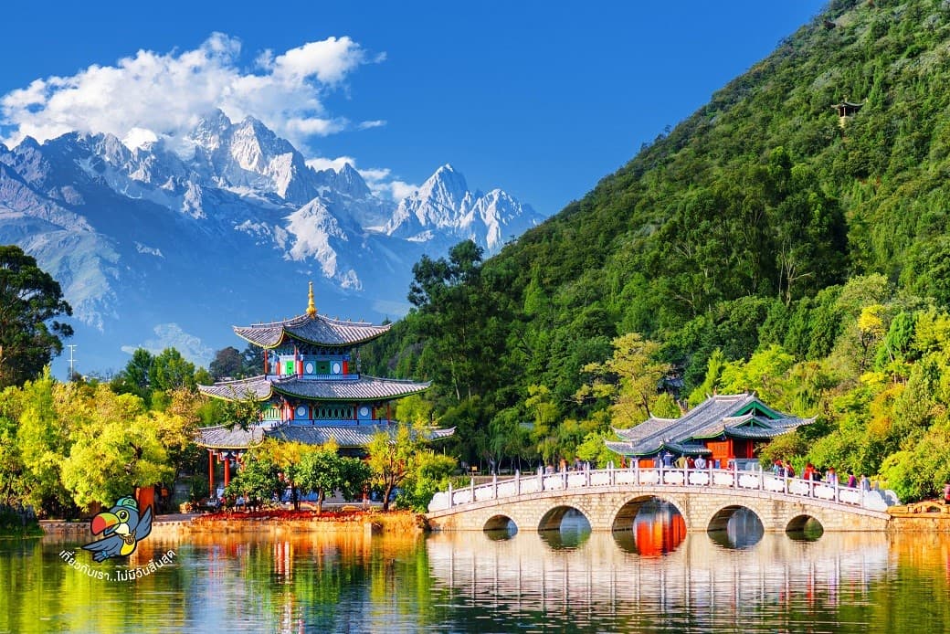 CHINA คุนหมิง ต้าหลี่ ลี่เจียง แชงกรีล่า ภูเขาหิมะมังกรหยก (ลงร้าน) 4