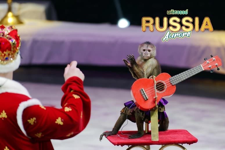 ดาวน์โหลดรูป มหัศจรรย์...RUSSIA มอสโคว เมอร์มรังส์ ตามล่าหาแสงเหนือ 7 วัน 5 คืน 11