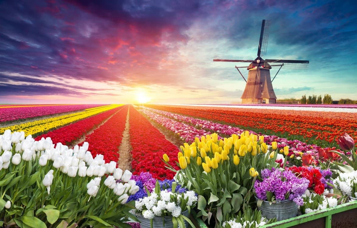 BENELUX COZY VACATION  8D5N 2