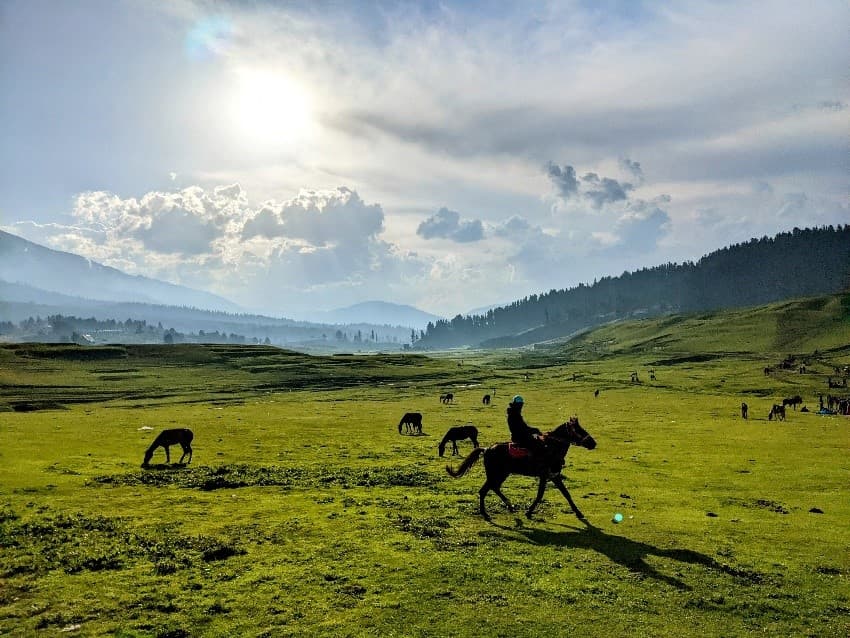KASHMIR Season Chagne ดีต่อใจ BY 6E 6D5N 7