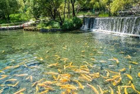 Land of Legends บินตรง LIJIANG ลี่เจียง ต้าหลี่ ภูเขาหิมะมังกรหยก  10