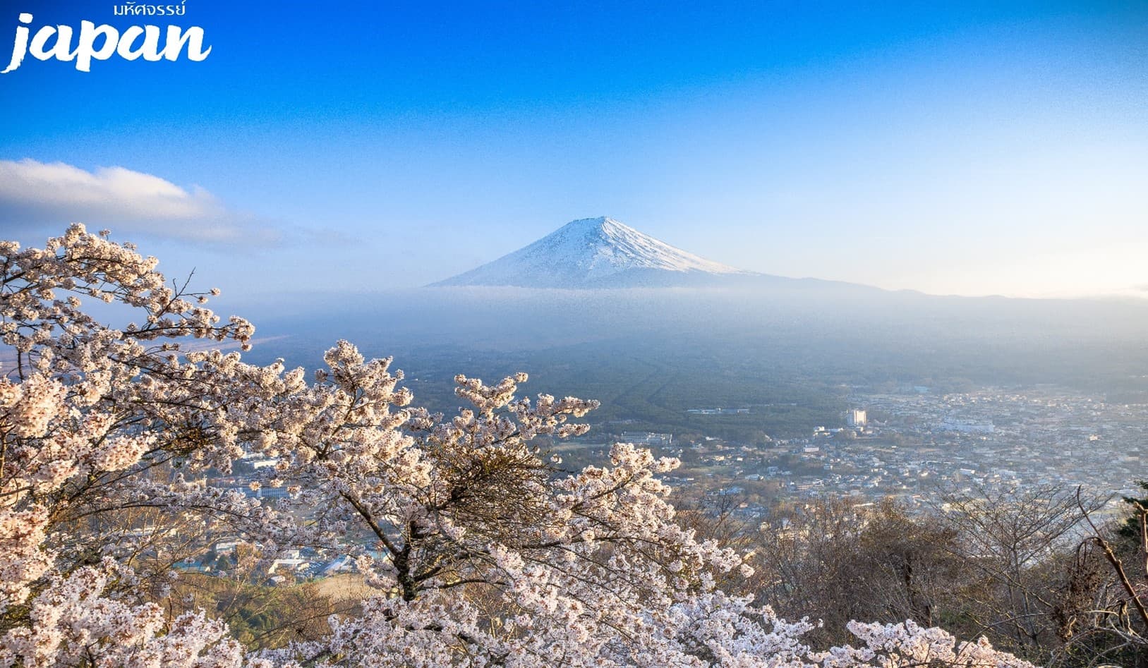 มหัศจรรย์...TOKYO ชมซากุระสวนจิโดริกะฟุจิ ฮาโกเน่ ฟูจิ 5 วัน 4 คืน 4