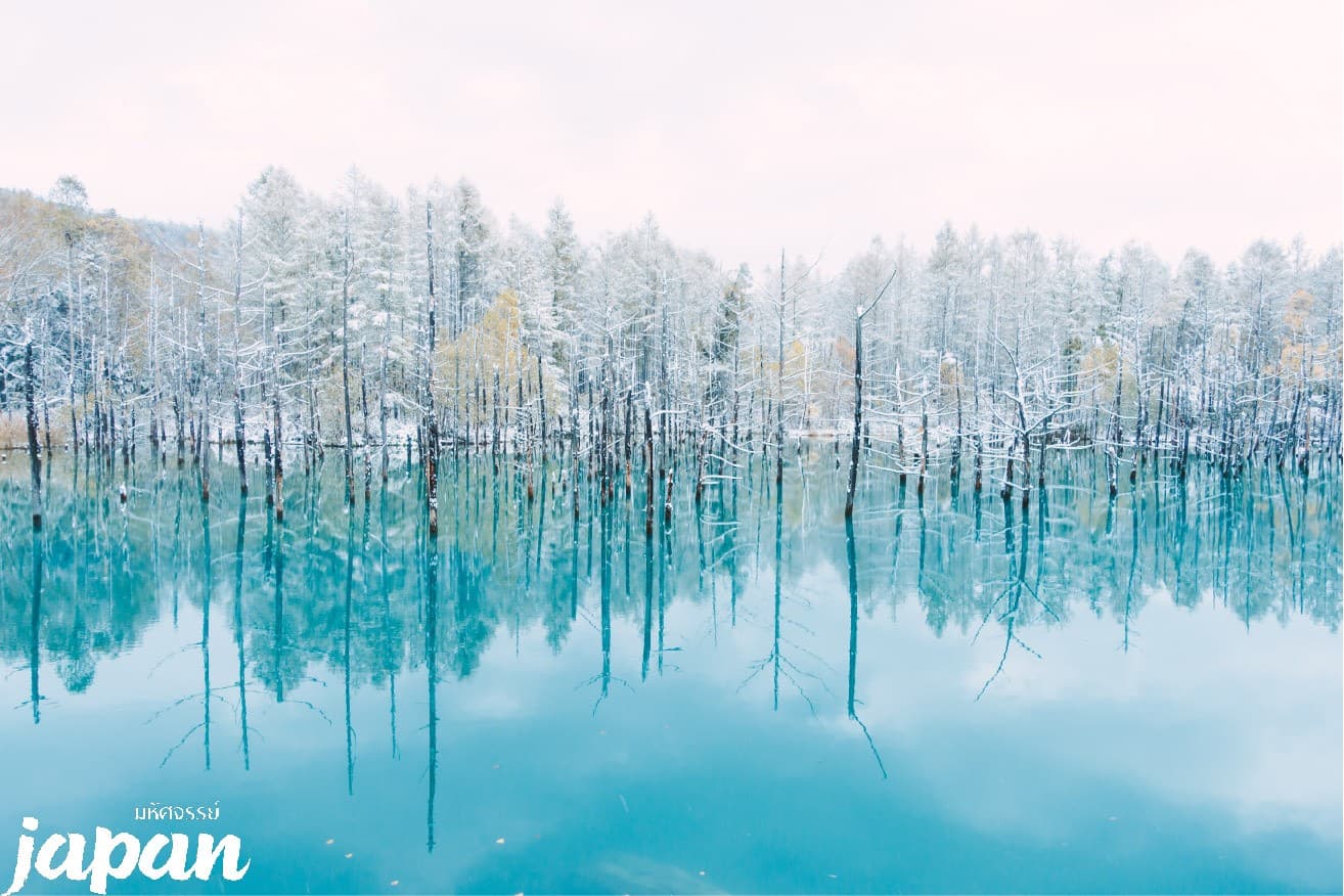 HOKKAIDO LAKE SHIKOTSU ICE FEST 6D4N 1