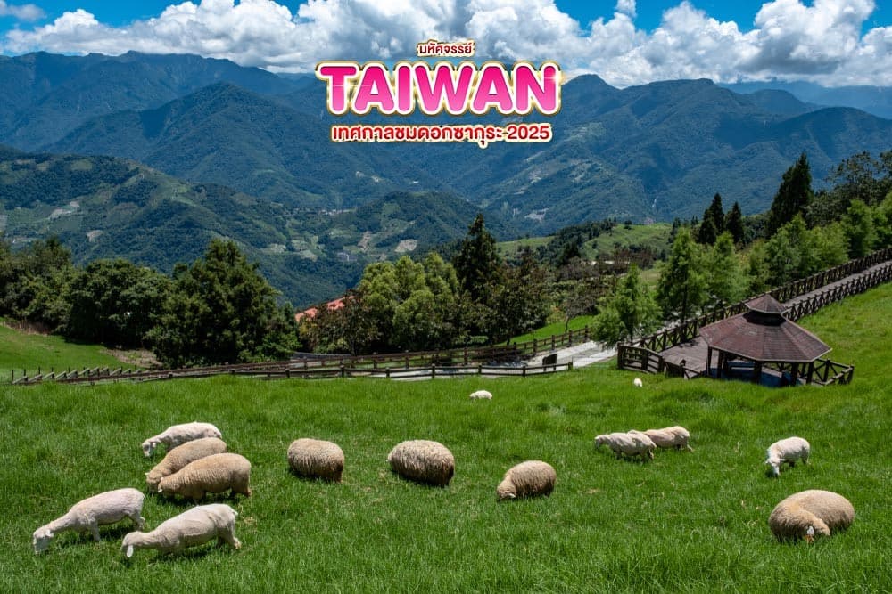 มหัศจรรย์..TAIWAN เทศกาลชมดอกซากุระ 2025 5 วัน 4 คืน 1