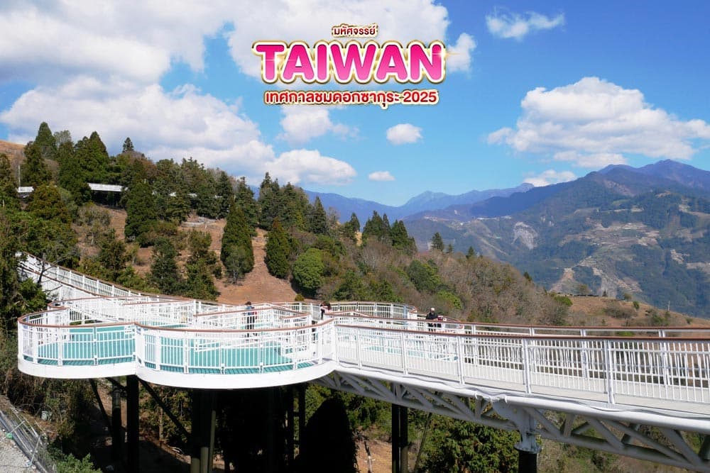 มหัศจรรย์..TAIWAN เทศกาลชมดอกซากุระ 2025 5 วัน 4 คืน 2