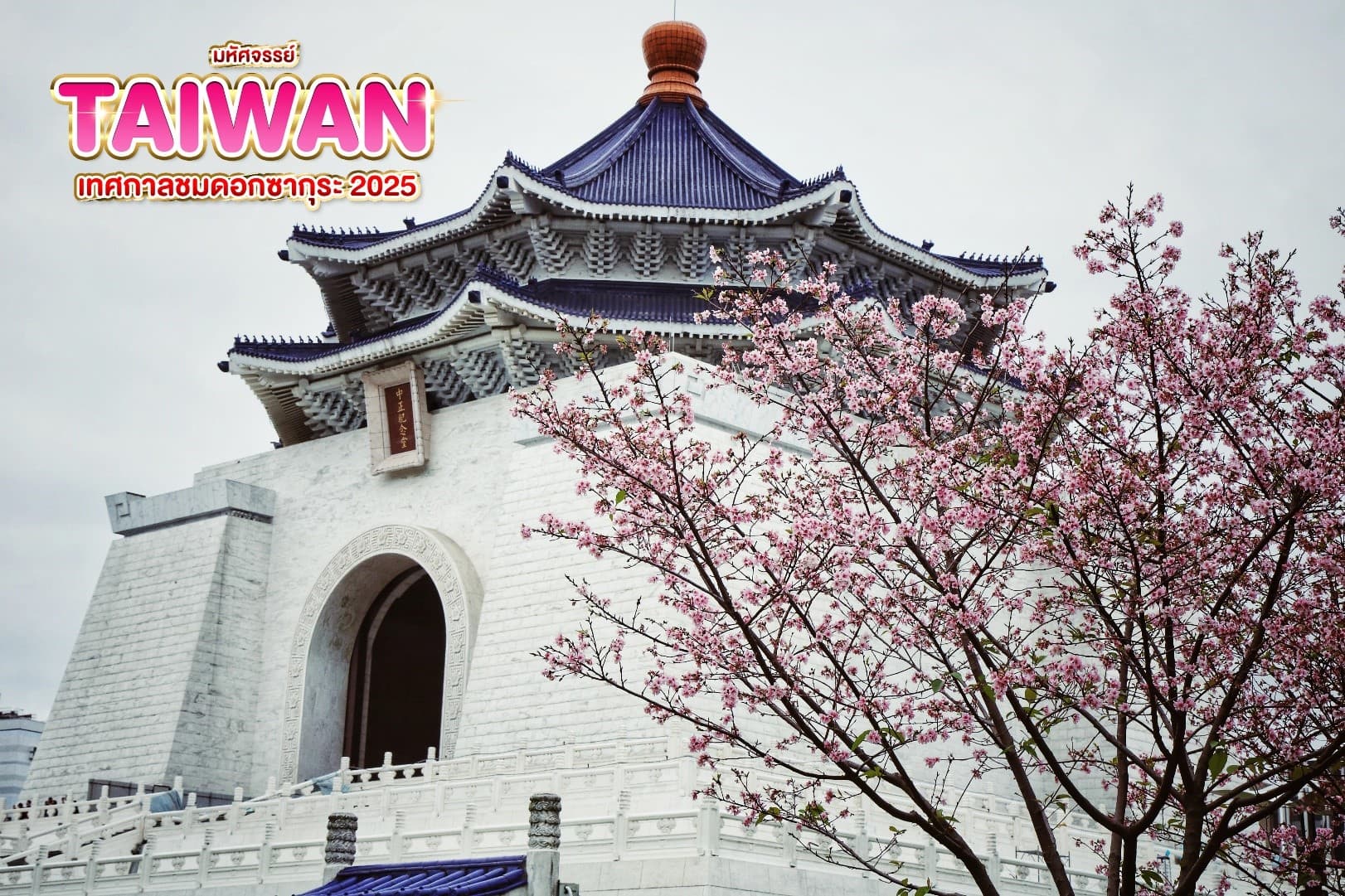 มหัศจรรย์..TAIWAN เทศกาลชมดอกซากุระ 2025 5 วัน 4 คืน 5