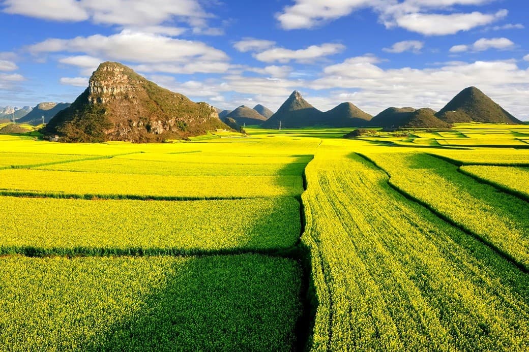 จีน คุนหมิง กุ้ยโกว โหลวผิง ภูเขาหิมะเจี้ยวจื่อ (ไม่ลงร้าน) 2