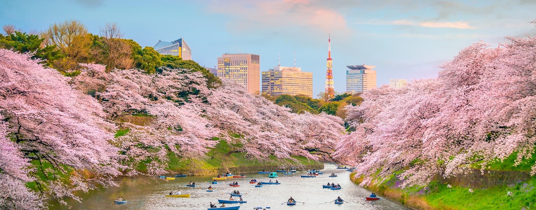 Sakura Dream TOKYO FUJI 5 วัน 3 คืน 16