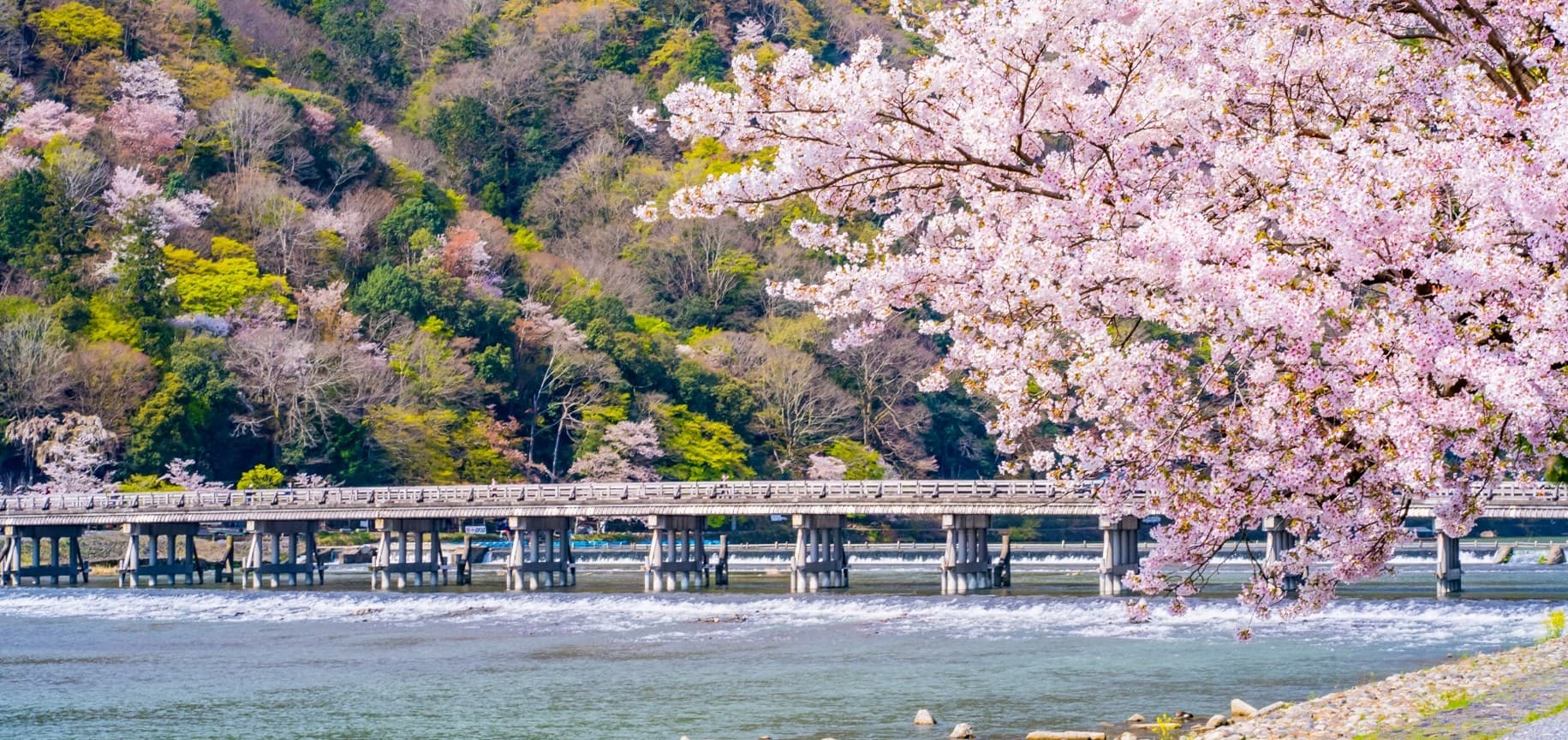 Unseen Sakura OSAKA โอซาก้า เกียวโต อิเนะ อามาโนะฮาชิดาเตะ 5 วัน 3 คืน 4
