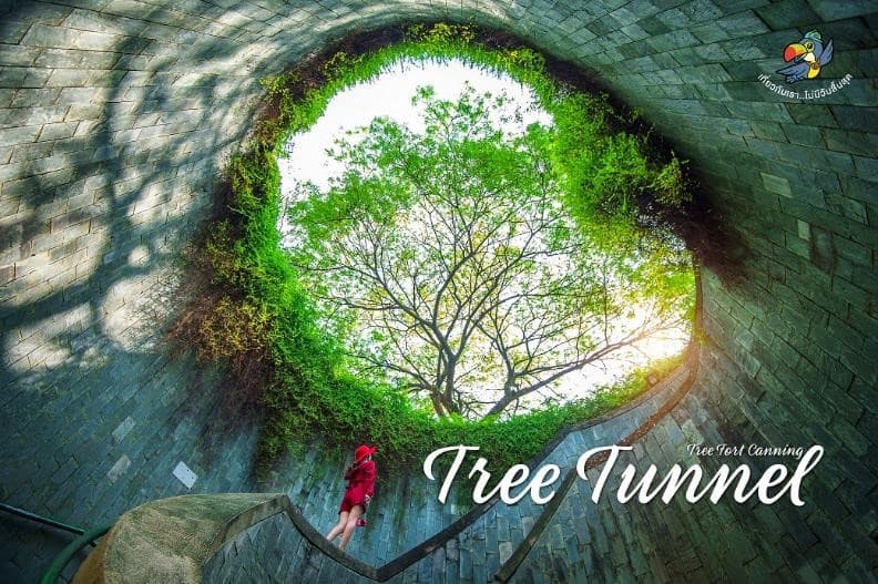 สิงคโปร์ เกาะมหาสนุก เซ็นโตซ่า ยูนิเวอร์แซล สูตูดิโอ - รวมค่าเข้ายูนิเวอร์แซล และรถรับส่ง 6