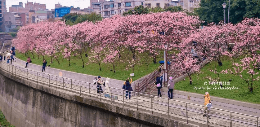 TAIWAN เจียอี้ ไทเป อาลีซาน สุริยันจันทรา ชมซากุระ 2