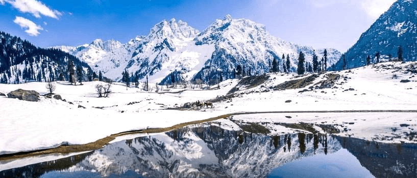 KASHMIR ศรีนาคา กุลมาร์ค พาฮาลแกรม โซนามาร์ค ทิวลิป 3