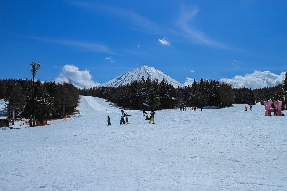 Winter Sakura TOKYO FUJI Kawazu 5วัน 3คืน 3