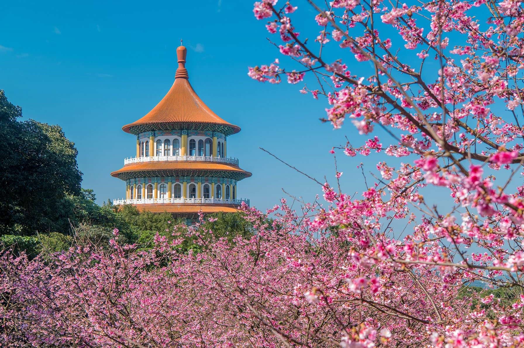 ไต้หวัน หนานโถว ไทเป ล่องเรือสุริยันจันทรา ชมซากุระวัดเทียนหยวน (เที่ยวเต็ม) 2