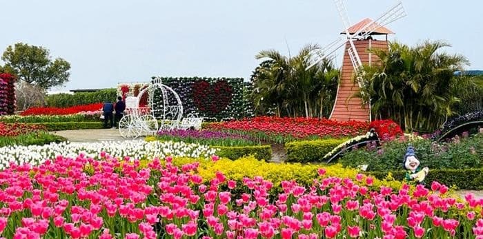 ไต้หวัน หนานโถว ไทเป ล่องเรือสุริยันจันทรา ชมซากุระวัดเทียนหยวน (เที่ยวเต็ม) 10
