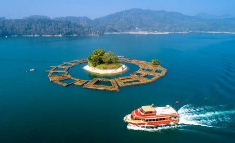 ไต้หวัน เจียอี้ อาลีซาน หนานโถว ล่องเรือสุริยันจันทรา ไทเป 11