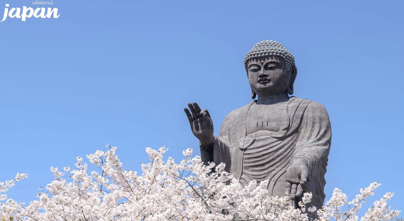 มหัศจรรย์...TOKYO อิบารากิ ฟูจิ คาวาโกเอะ ซากุระ 6 วัน 4 คืน 2