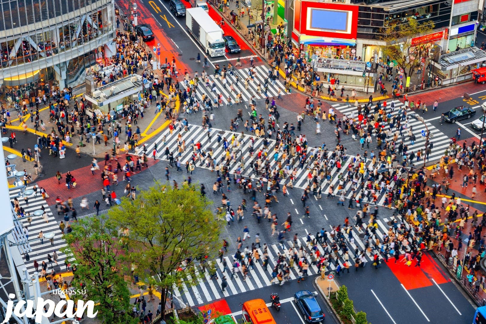 มหัศจรรย์...TOKYO อิบารากิ ฟูจิ คาวาโกเอะ ซากุระ 6 วัน 4 คืน 5
