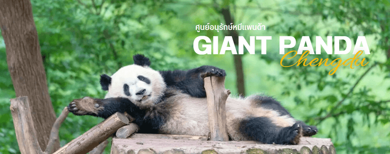 เฉิงตู-สี่ดรุณี-ปี้เผิงโกว-ต๋ากู่การ์เซีย-ชมหมีแพนด้า (ไม่ลงร้าน) 6 วัน 5 คืน 6