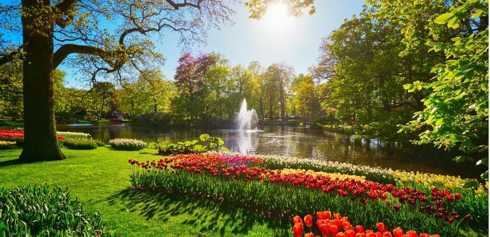เนเธอร์แลนด์ เบลเยี่ยม ลักเซมเบิร์ก เยอรมัน KEUKENHOF 3