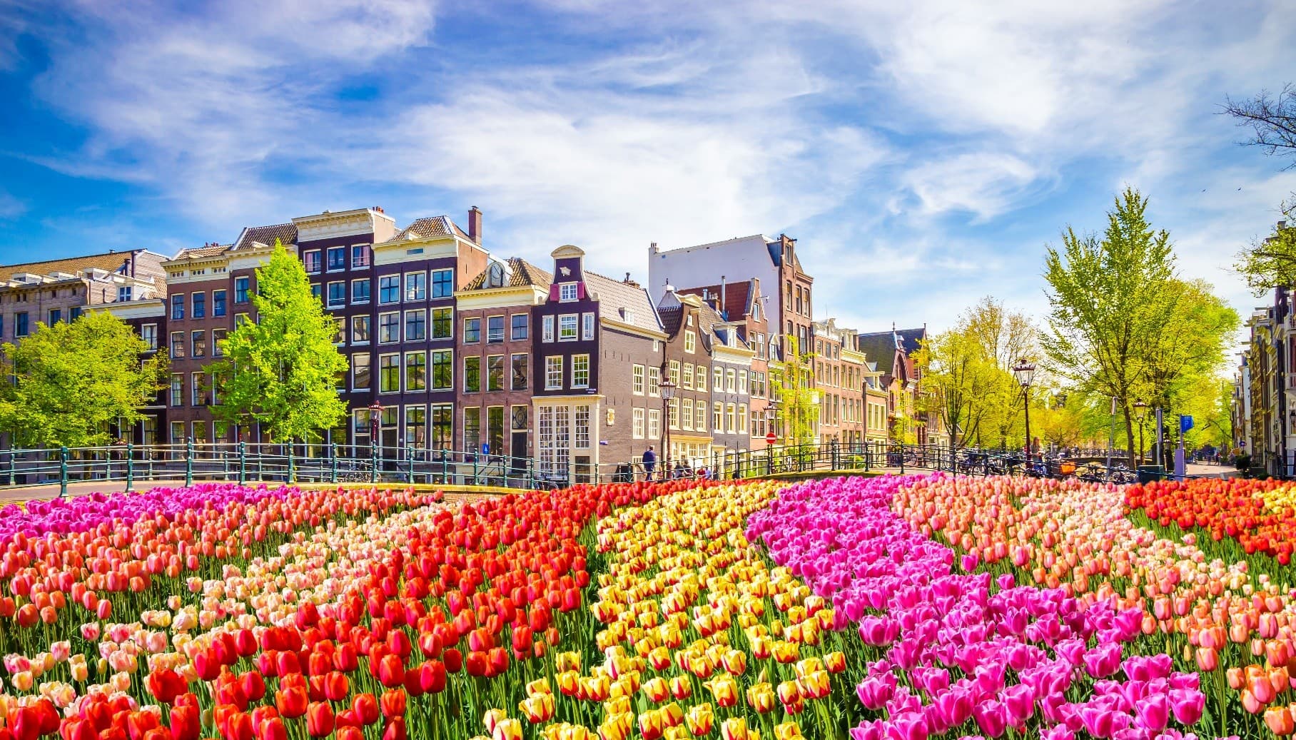 เนเธอร์แลนด์ เบลเยี่ยม ลักเซมเบิร์ก เยอรมัน KEUKENHOF 4