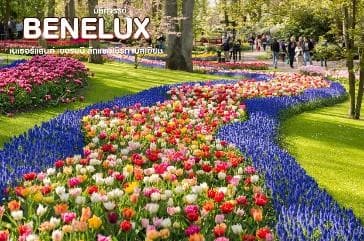 มหัศจรรย์...เบเนลักซ์ เยอรมนี Keukenhof 2025 8 วัน 5 คืน 12
