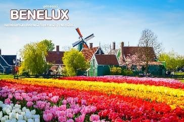 มหัศจรรย์...เบเนลักซ์ เยอรมนี Keukenhof 2025 8 วัน 5 คืน 13