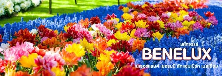 มหัศจรรย์...เบเนลักซ์ เยอรมนี Keukenhof 2025 8 วัน 5 คืน 14