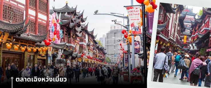 เซี่ยงไฮ้ ดิสนีย์แลนด์ หมู่บ้านจูเจียว 5วัน 4คืน บินการบินไทย 5