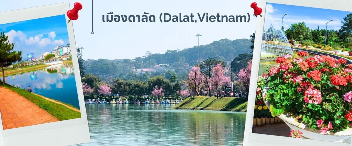 ญาจาง-ดาลัด - สวนสนุก Vin Pearl 4 วัน 3 คืน 1