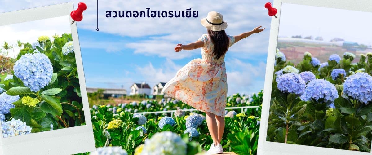 ญาจาง-ดาลัด - สวนสนุก Vin Pearl 4 วัน 3 คืน 3