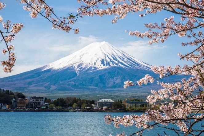 TOKYO ซากุระ สวยจับใจ 1