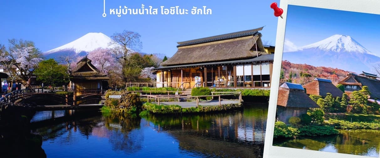 โตเกียว ฟูจิ ล่องเรือฮาโกเน่ ชมดอกทิวลิป 5วัน 3คืน 2