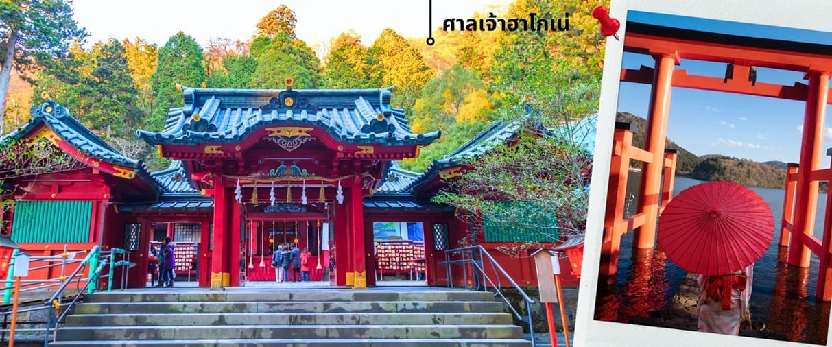 โตเกียว ฟูจิ ล่องเรือฮาโกเน่ ชมดอกทิวลิป 5วัน 3คืน 3