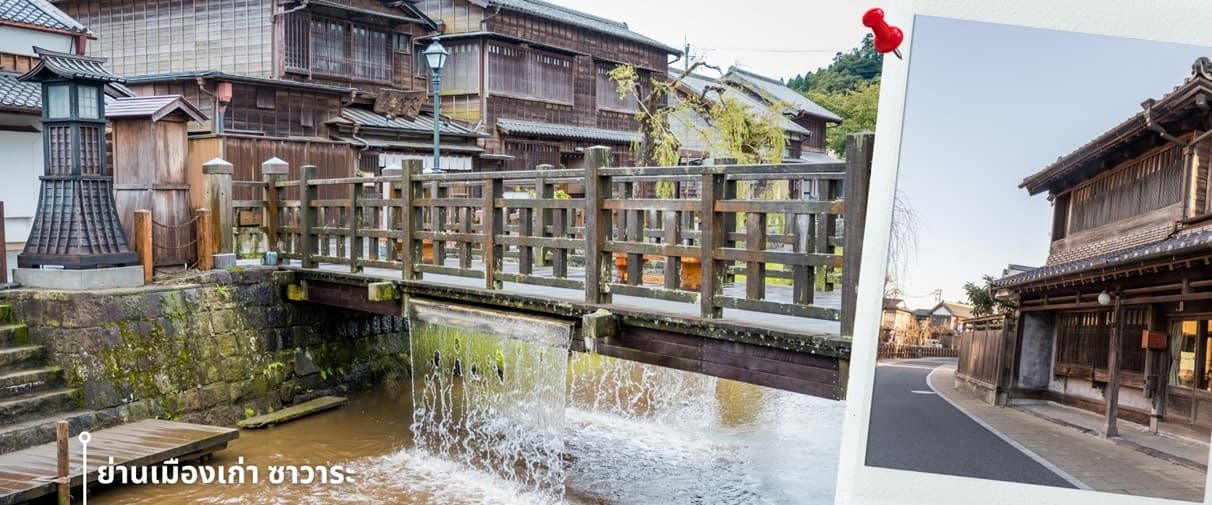 โตเกียว ฟูจิ ล่องเรือฮาโกเน่ ชมดอกทิวลิป 5วัน 3คืน 10