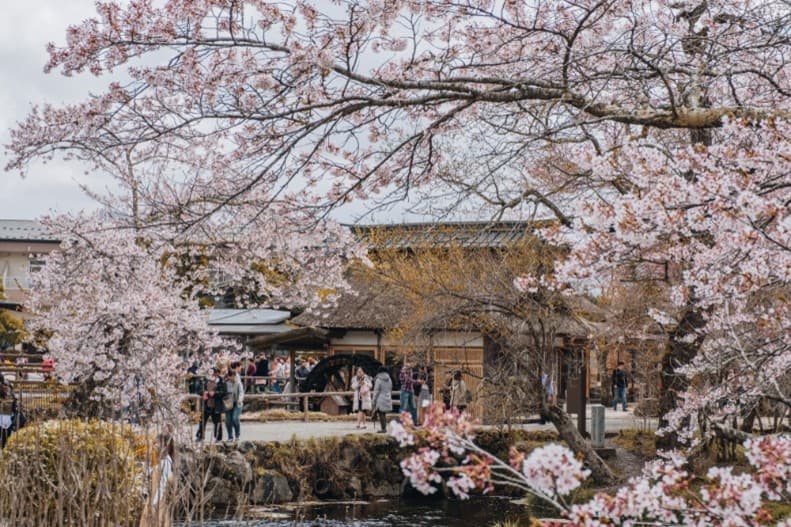 TOKYO ซากุระ บริ้งบริ้ง (เที่ยวเต็ม บินดึก) 3