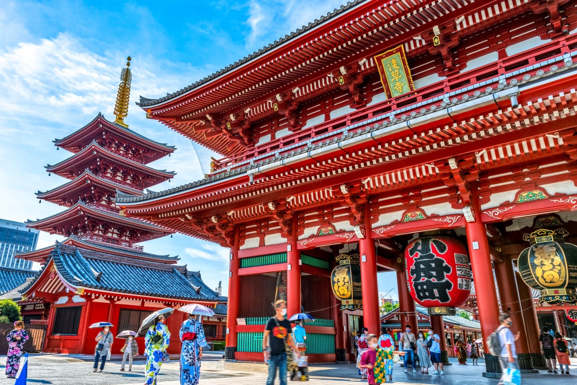 โตเกียว ฟูจิ อิบารากิ นาริตะ ทุ่งดอกโคเชีย 5