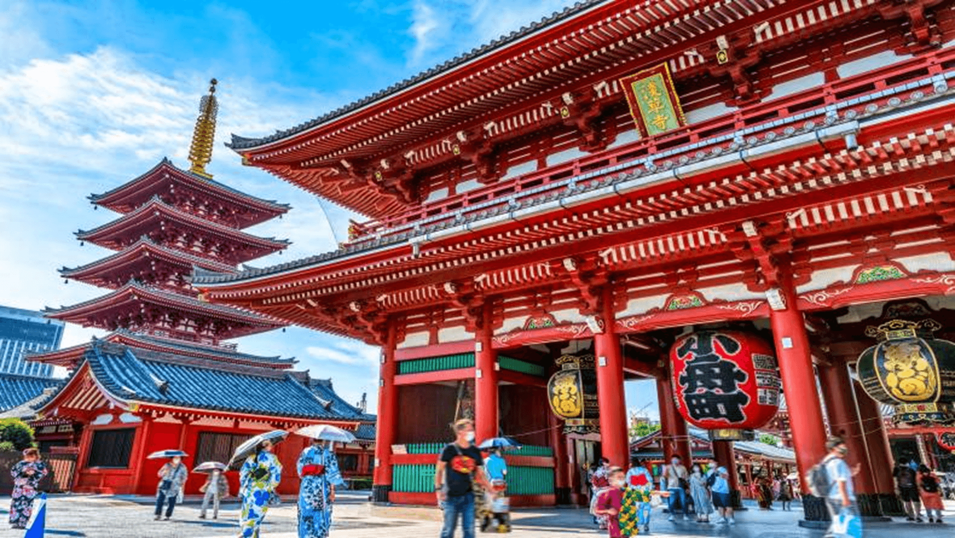 โตเกียว นาริตะ ฟูจิ อาชิคางะ พิ้งค์มอส วิสทีเรีย (ใช้รถทุกวัน) 1