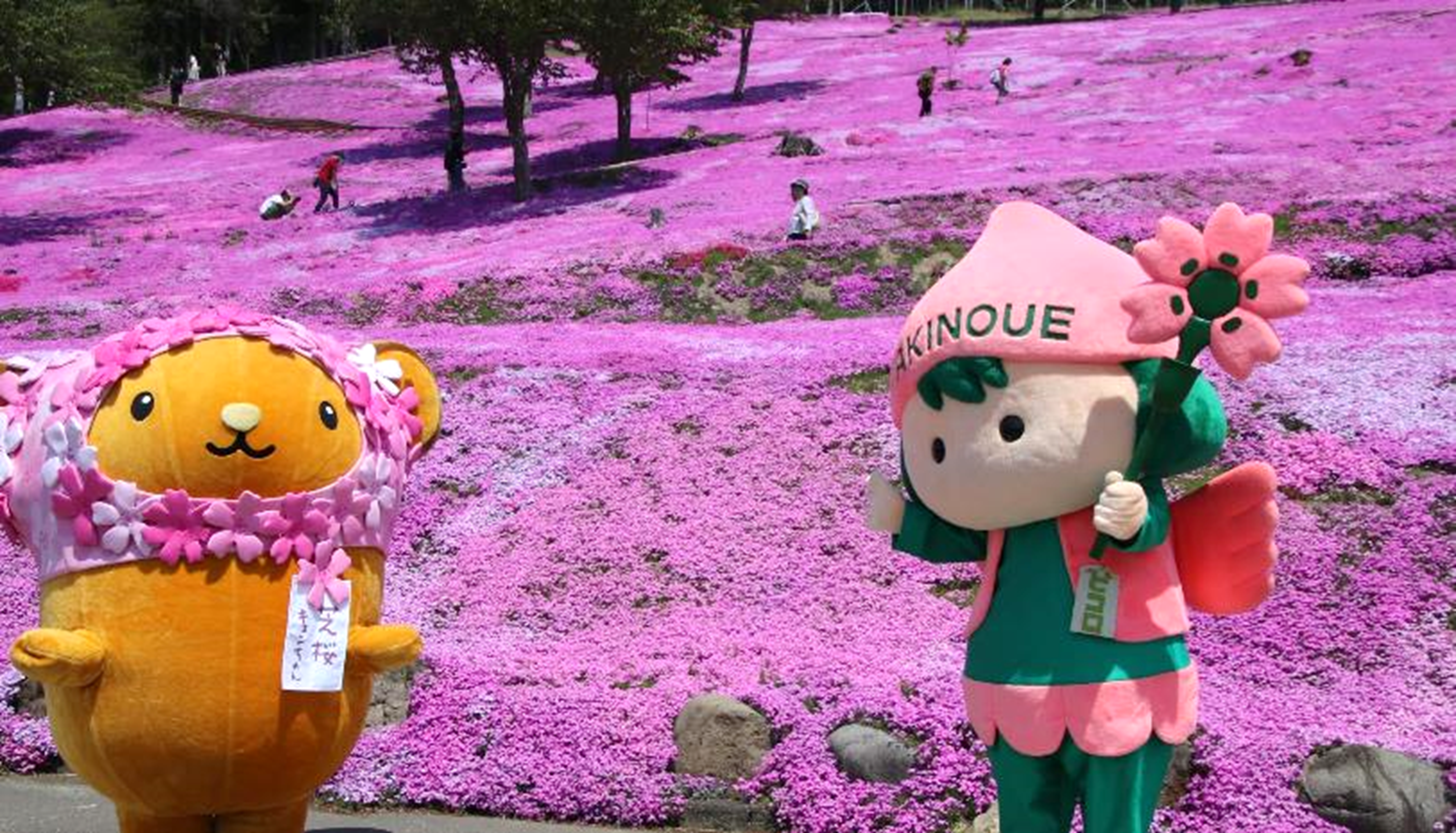 ตุรเคีย (อิสตันบูล อังการา คัปปาโดเกีย สวนสตรอว์เบอร์รี ปามุคคาเล่ ซานัคคาเล) 3