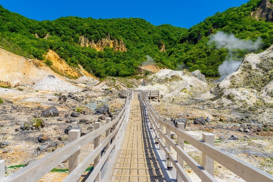 Lavender HOKKAIDO SAPPORO TOYA OTARU FURANO BEI ASAHIKAWA 6วัน 4คืน 3