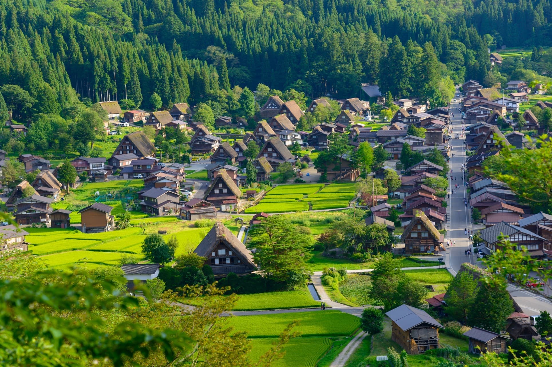 Experience vibrant OSAKA TOKYO  SHIRAKAWAGO KAMIKOCHI HAKUBA FUJI 6วัน 4คืน 4