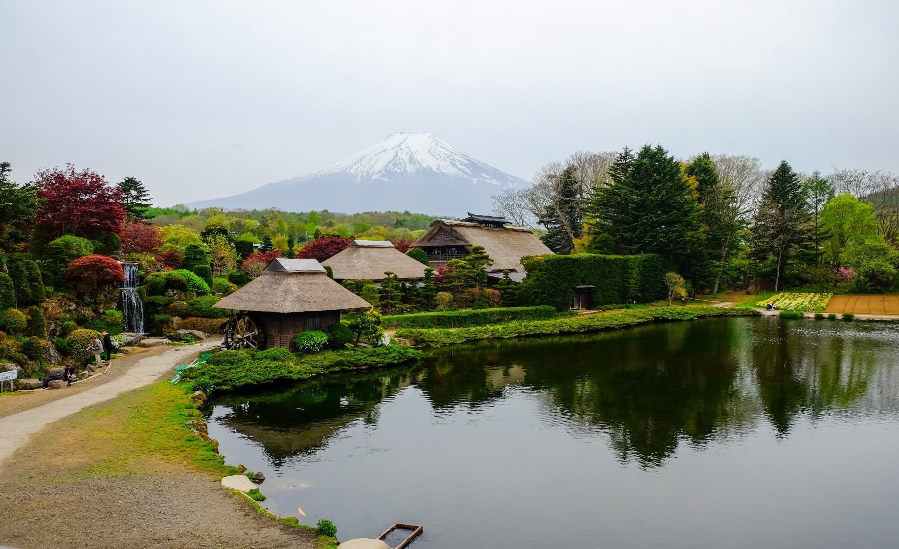 Time to.…TOKYO FUJI FUJINOYAMA 5วัน3คืน 3