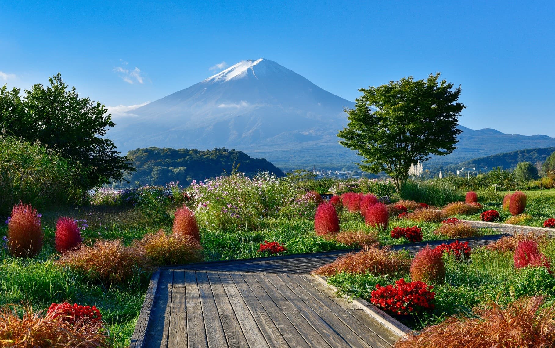 Time to.…TOKYO FUJI FUJINOYAMA 5วัน3คืน 5