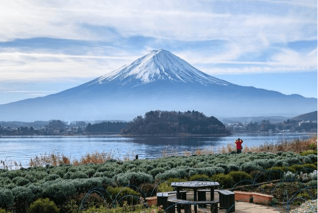 TOKYO FUJI Kamakura 6วัน 4คืน 6