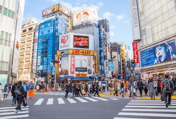 TOKYO FUJI Kamakura 6วัน 4คืน 8